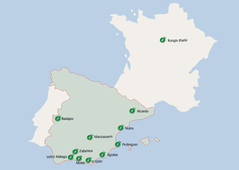 57345652_food_illustration_poster_4